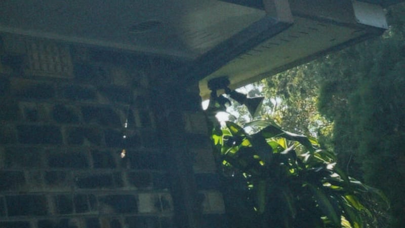 Zam - Say goodbye - Nostalgic dreamy scene in a world of love and growth on why are we exist in the first place