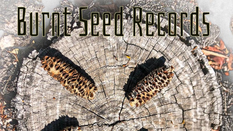 Burnt Seed Records (Various Artists) - Sprouted Volume 5 - The fifth annual compilation from Burnt Seed Records offeing awide-ranging and diverse palette of sounds, capturing a vibrant snapshot of the thriving creative communities across Boorloo (Perth), Naarm (Melbourne) and Gunaikurnai (Gippsland).