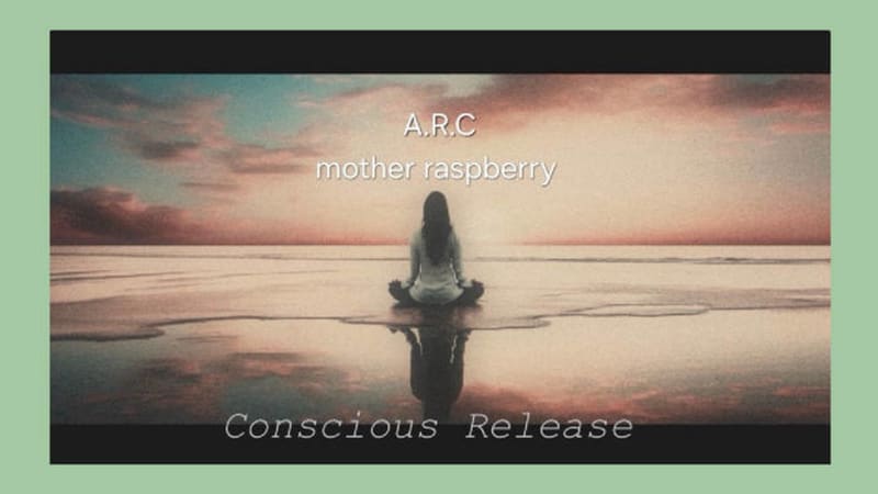 Mother Raspberry & A.R.C. - Conscious Release - The greatest collaboration of mother raspberry and A.R.C. yet! 23 tracks of varied musical insanity! Grab some yoga pants and meditate your way to madness.
