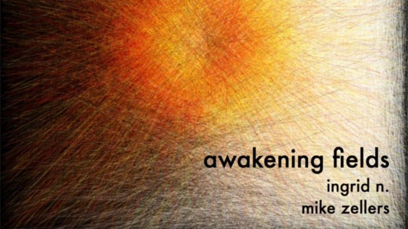 Mike Zellers - awakening fields - Gong/Flute with treatments. Experimental Ambient