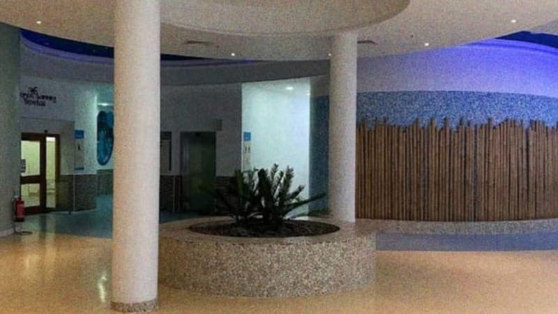 restless pines - ///branched.detective.revision - A short mallsoft EP that captures the feeling of a British summer holiday lost to time.