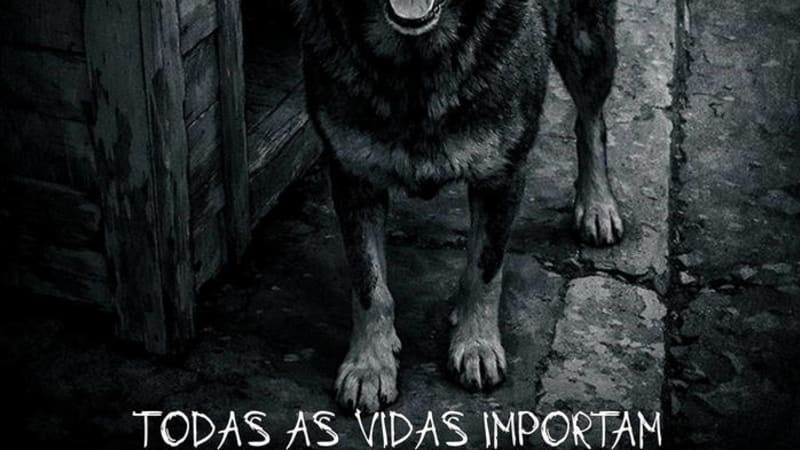 Na'mbi - Todas as Vidas Importam - Extreme Metal for Animal Rights.