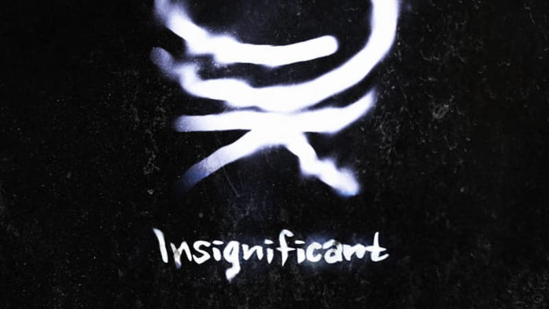 Insignificant - Become EP - Maybe it's time to become insignificant?