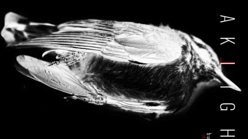 BlakLight - Buried Alive - Maxi Single - Los Angeles dark synthpop trio BlakLight return with a reimagined “Leave A Light On’.