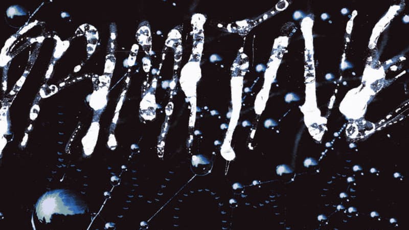 Jentlemen - Primitive Objects - A brain dance for those desiring something between ambient and techno-adjacent