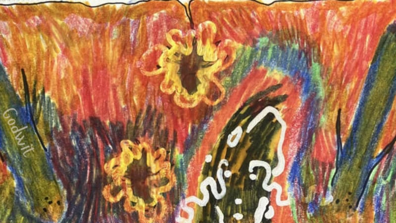 Beloved Binge - Godwit - Indie outsider rock with a DIY ethos.