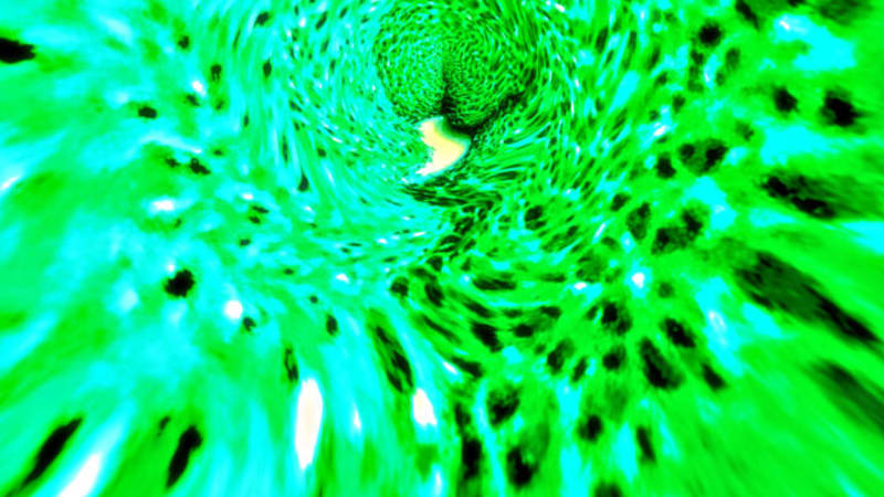 Telford! - Radiator - Secret and mutant experiments on the edge of the swamp.