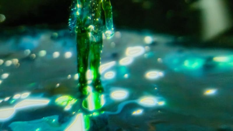 Hot Picks 28/2/26 - The Best New Releases - FVMusicBlog