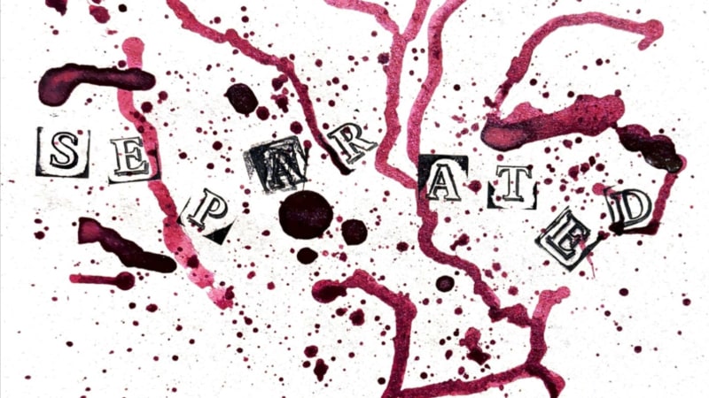 Hot Picks 13/3/26 Part Two - The Best New Releases - FVMusicBlog