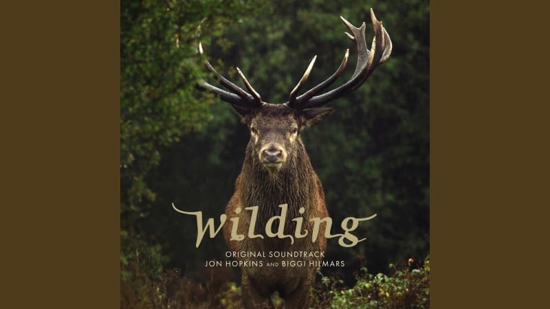 Jon Hopkins Goes Back to Nature with ‘Wilding’ » PopMatters