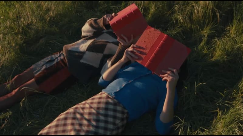 Courtney Barnett Brilliantly Showcases Her Voice on New LP » PopMatters