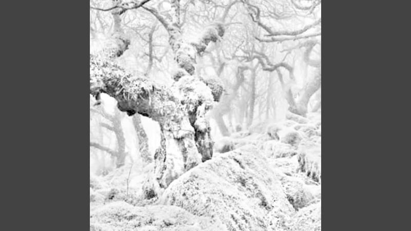 ElectroMatters: The Best Electronic Music of February 2026 » PopMatters