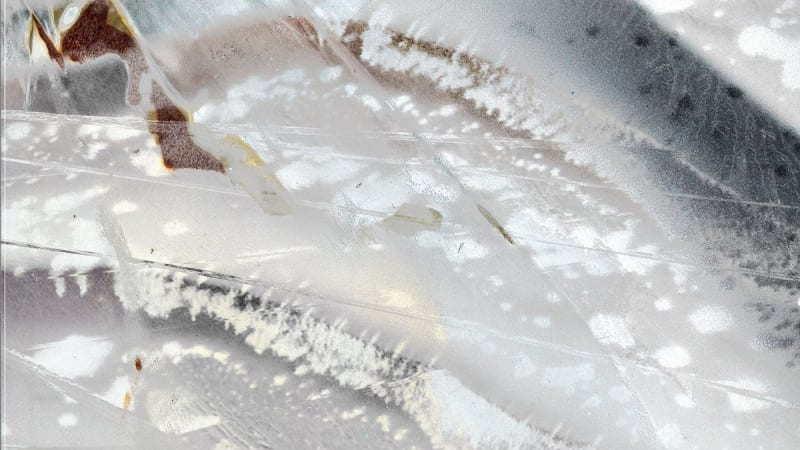 Premiere: Michael Claus - Surveillance Species - Inverted Audio