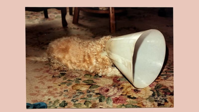 Five Years to Greatness: Langkamer’s Definitive ‘No’ Album