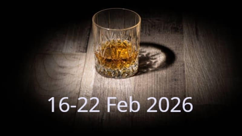 The Singles Bar #0004 (16-22 Feb 2026)