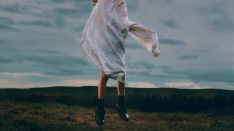 Dive into “Birding” by Deary: An Ethereal Dream-Pop Adventure Blending Shoegaze and Jangle-pop, Capturing a Cinematic Experience of Intense Sweeping Emotions.