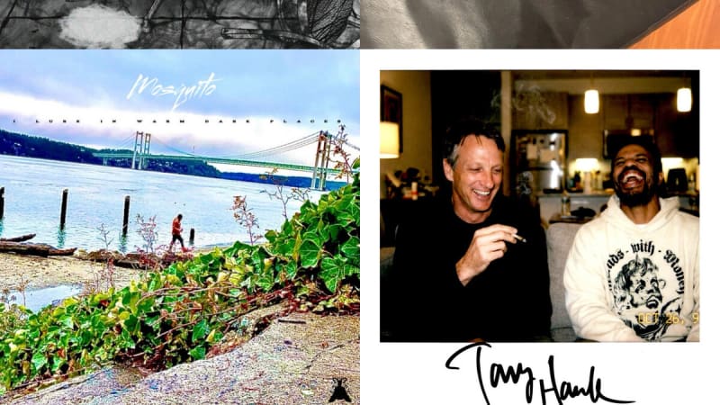 Conexiones y Colisiones: Cuatro Miradas al Amor, la Rabia y la Identidad Sonora - La Caverna