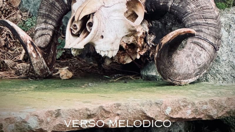 Estrada Music Project estrena el íntimo “Verso Melódico” - La Caverna