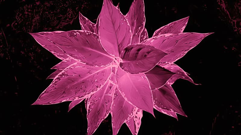 JaR lanza “Agla”, un manifiesto de metal alternativo - La Caverna