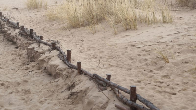 Vik Ho estrena “At the Shore”: Paisajes sonoros - La Caverna