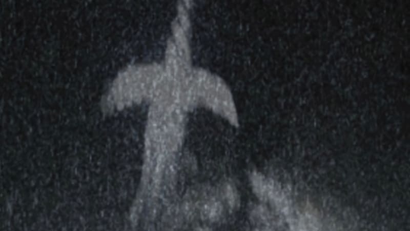 Nuevas canciones sobre amor, caos y realidad - La Caverna