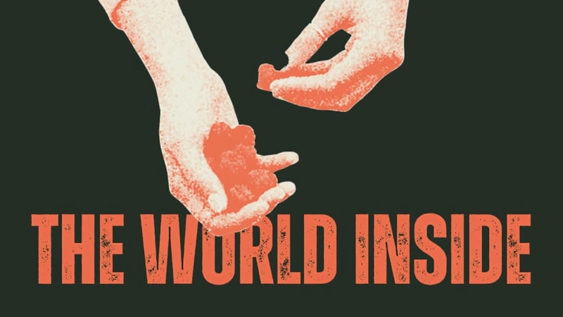 The Iddy-Biddies exploran emociones en “The World Inside” - La Caverna