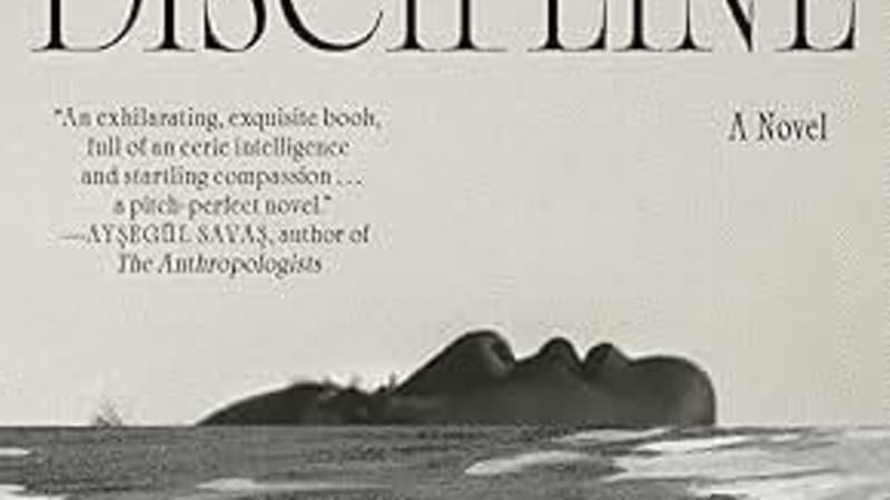 Larissa Pham’s Book Notes music playlist for her novel Discipline