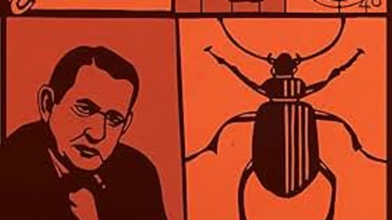 Angela Woodward’s Book Notes music playlist for her novel Afterlife