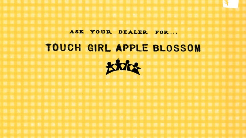 Touch Girl Apple Blossom Announce Debut Album ‘Graceful’: Hear “The Springtime Reminds Me Of…”