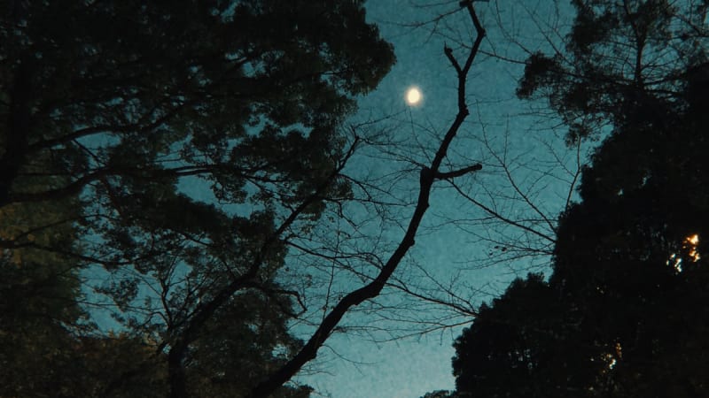 Stream British Fingerstyle Master James Blackshaw's New Album ‘Fractures On The Horizon’