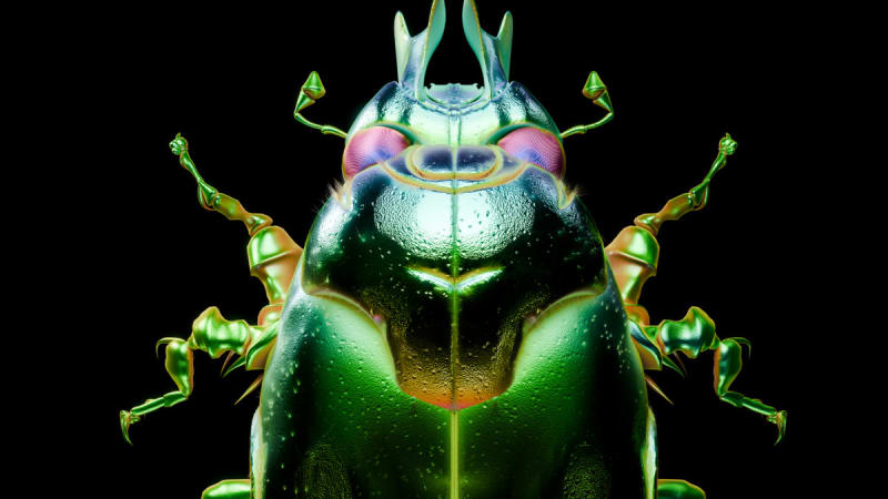 GRRL Announces New Album ‘Beetle’: Hear “Moire” & “Scatter”