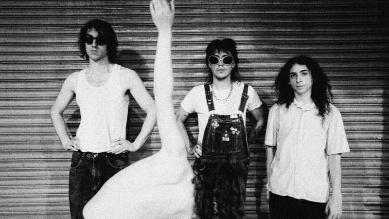 Geese Win First Award, Say “Free Palestine, Fuck ICE, Go Geese!”