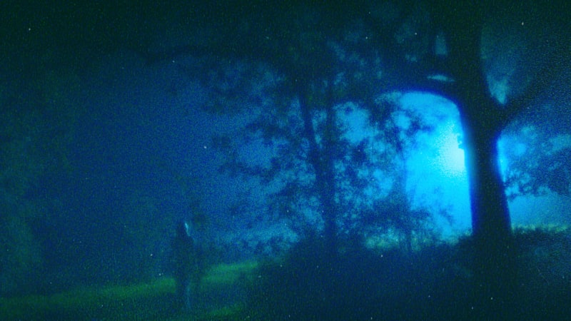 she's green release new song “Mettle”: Listen