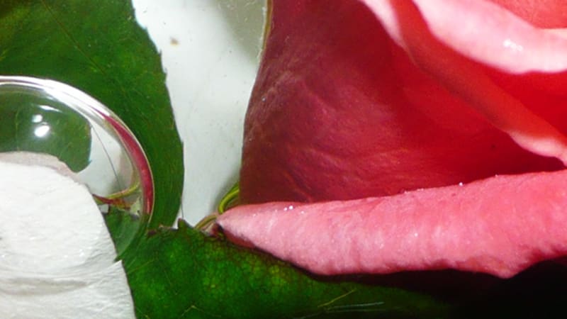 Ms Ray & Nourished By Time Share New Song “Miss You”: Listen