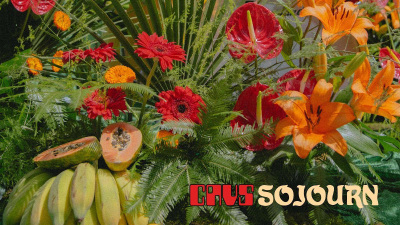 King Gizzard & The Lizard Wizard Drummer CAVS Announces New Solo Album ‘Sojourn’: Hear “Candiru”