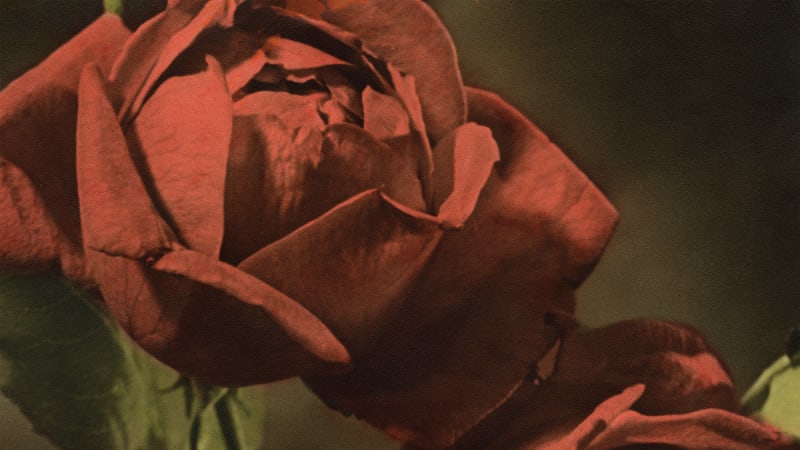 Cindy Announce New Album Another Country: Hear ‘Procession’