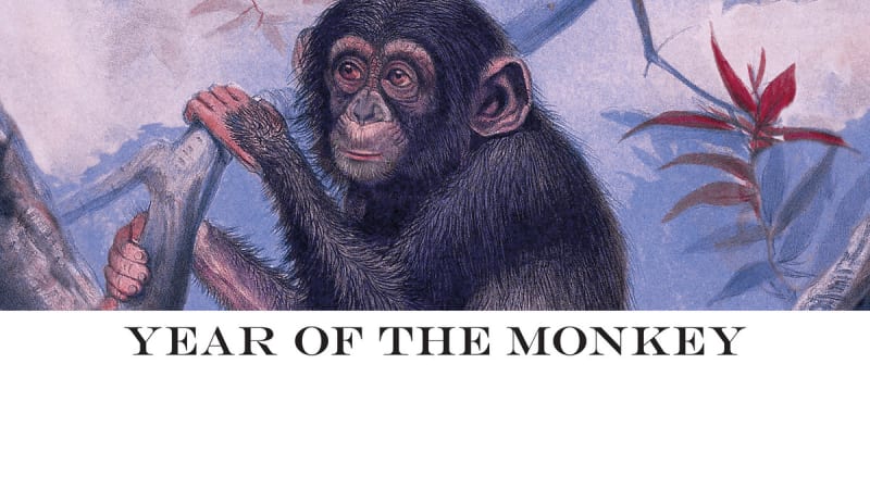 Fucked Up Announce Year Of The Monkey, Share Two Half-Hour Tracks