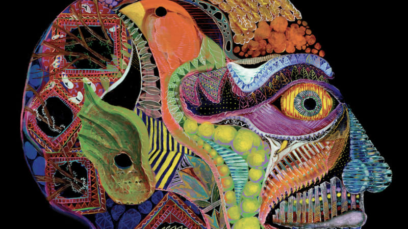 John Dwyer Shares Surprise New OSEES EP Cara Maluco, Damaged Bug Single “Over-Exposed”