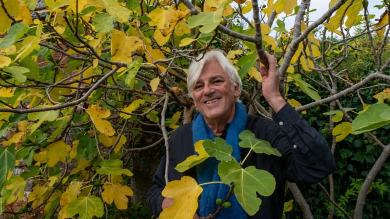 Tour news: Neil Young, Robyn Hitchcock, St. Vincent, Sierra Ferrell, Frankie Cosmos, more