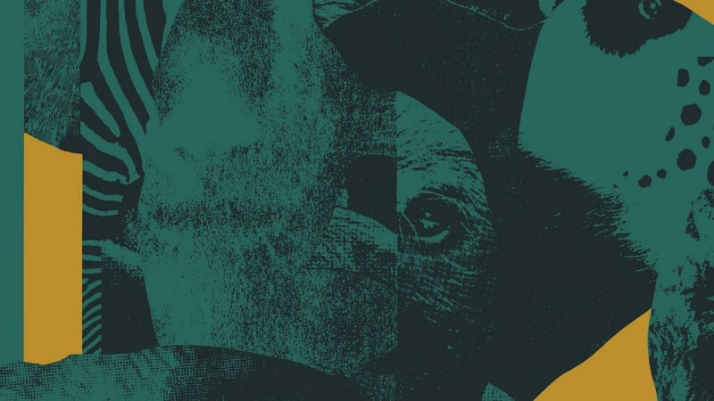 9 New Songs Out Today