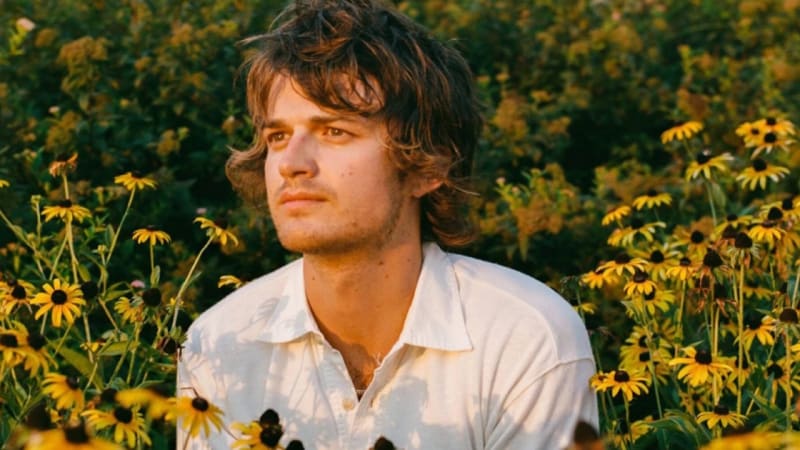 Tour news: Djo / Pond, Viagra Boys, Winnipeg Folk Fest, Widowspeak, Ann Wilson, Ella Mai, more