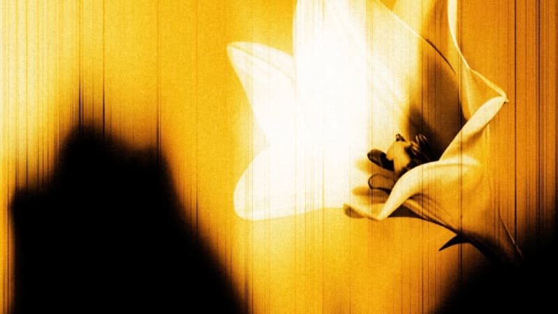 U2 surprise release ‘Easter Lily’ EP ft Brian Eno