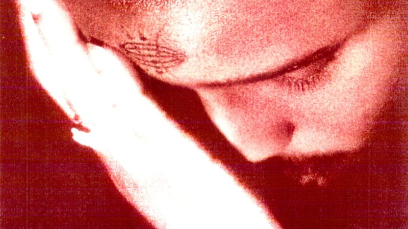 Nourished by Time: “9 2 5”