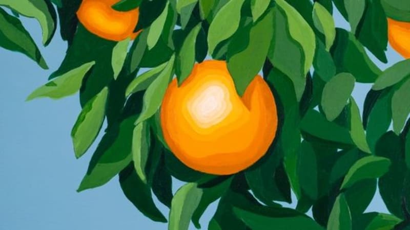 Tyler Ballgame: For the First Time, Again