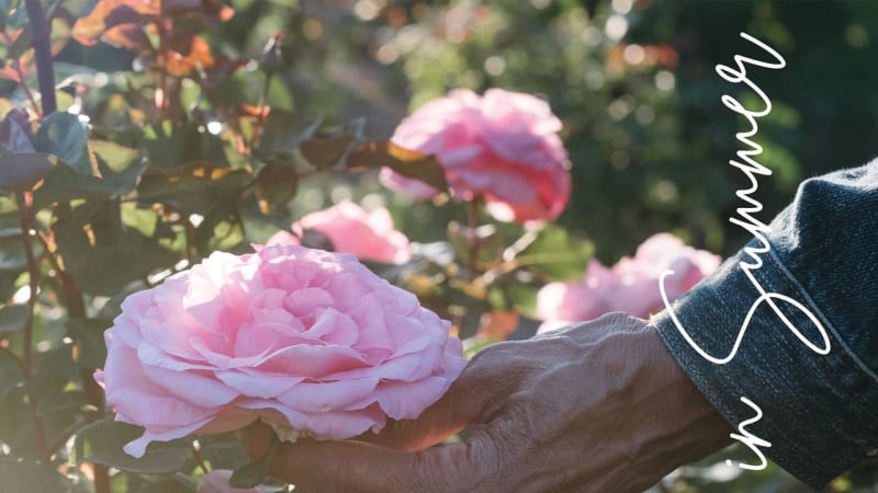 Beverly Glenn-Copeland: Laughter in Summer