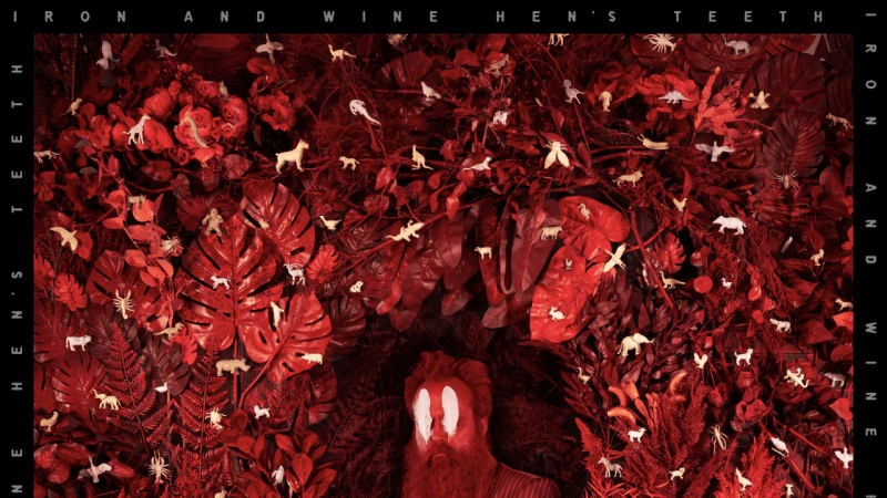 Iron & Wine: Hen’s Teeth