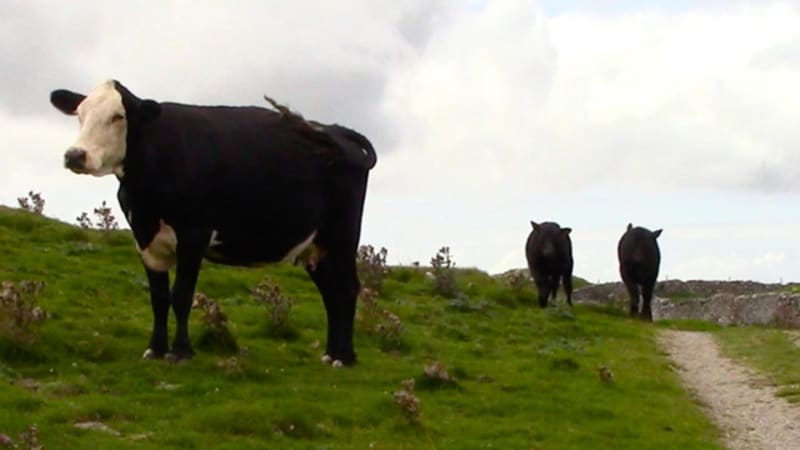 Lyla George is back with a new album and latest single ‘loose ends’.