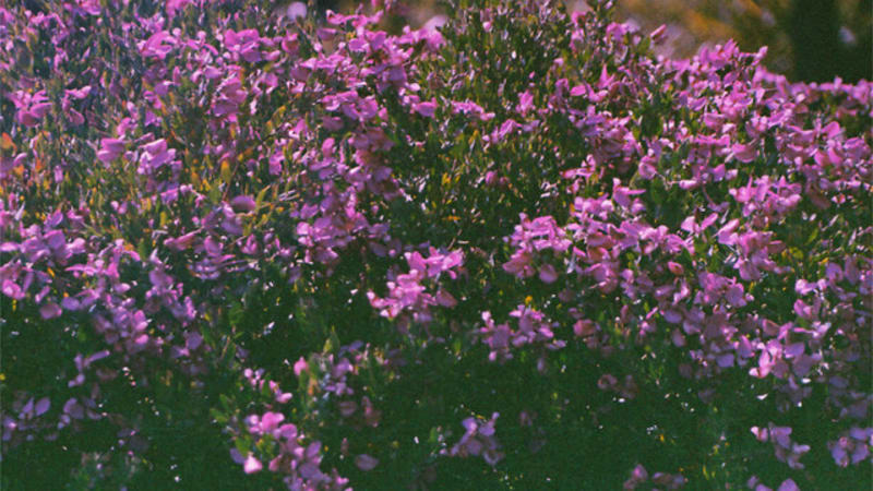 Not For Tears shares new shoegaze-tinged song ‘seventeen’.