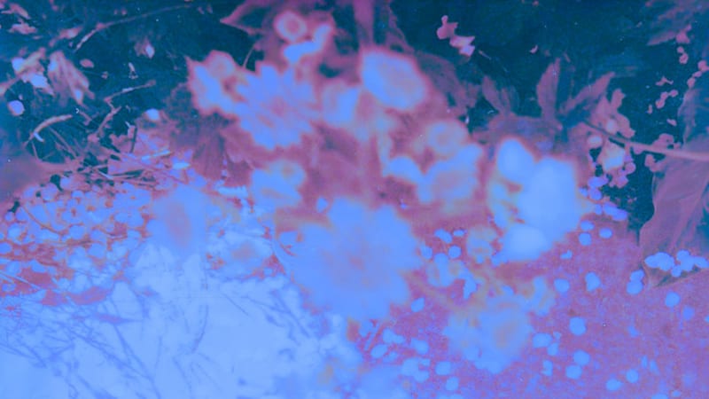 Snowcuffs share latest track ‘Burst’.