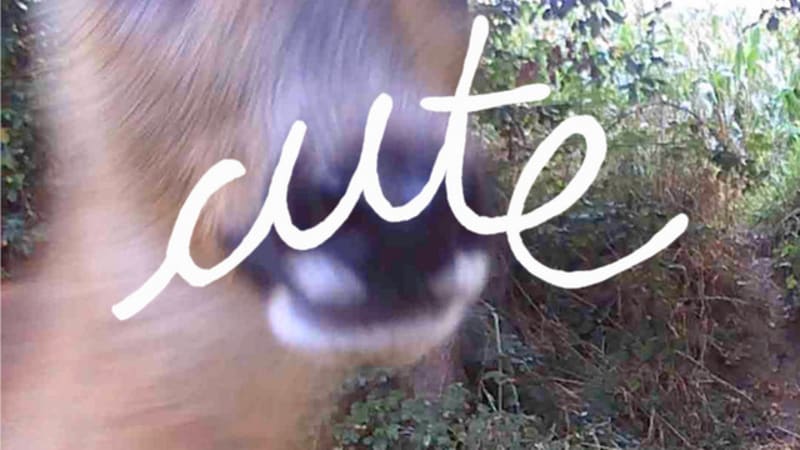 Asara releases new single ‘Cute’.